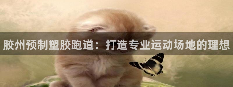 尊龙登录首页：胶州预制塑胶跑道：打造专业运动场地的理想