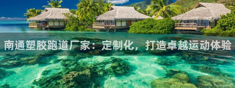 尊龙旗舰app：南通塑胶跑道厂家：定制化，打造卓越运动体验