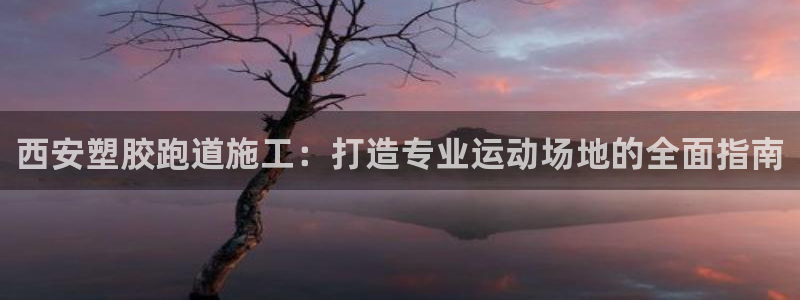 尊龙凯时人生就博官网：西安塑胶跑道施工：打造专业运动场地的全面指南