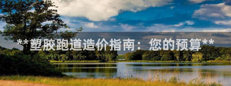 尊龙凯时登陆入口：**塑胶跑道造价指南：您的预算**
