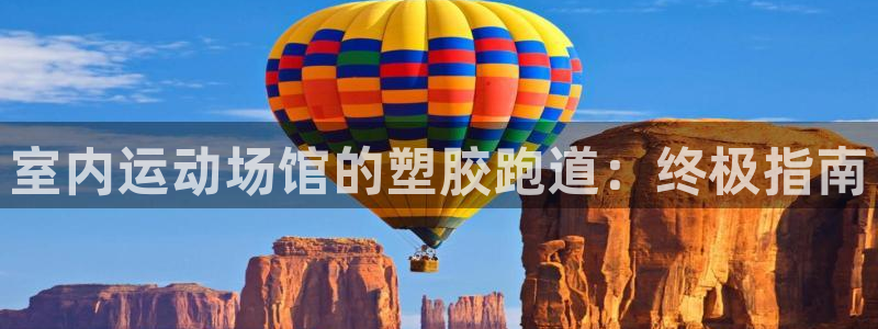 尊龙集团有限公司官网：室内运动场馆的塑胶跑道：终极指南