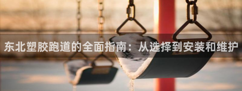 尊龙人生就是博旧版：东北塑胶跑道的全面指南：从选择到安装和维护