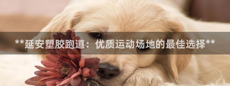 尊龙凯时百万奖池：**延安塑胶跑道：优质运动场地的最佳选择**