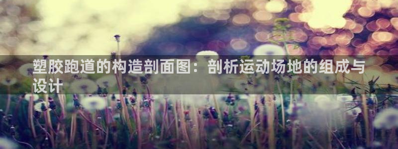 尊龙凯时人生就是搏官：塑胶跑道的构造剖面图：剖析运动