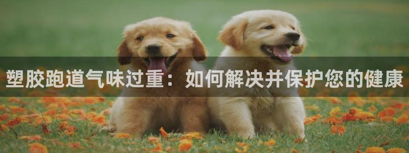 尊龙官方网址：塑胶跑道气味过重：如何解决并保护您的健康