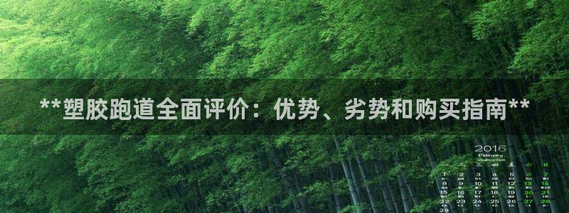 尊龙凯时链接：**塑胶跑道全面评价：优势、劣势和购买指南**