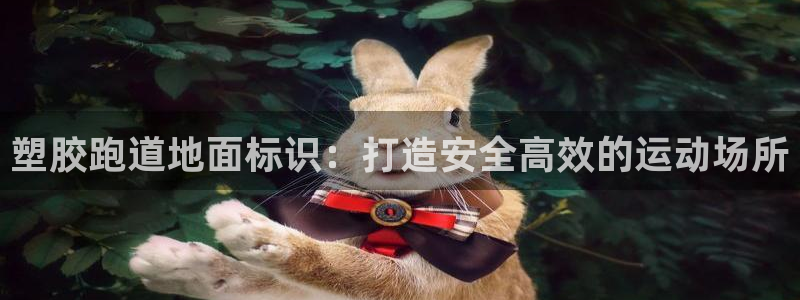 z6尊龙凯时ag旗舰厅：塑胶跑道地面标识：打造安全高效的运动场所