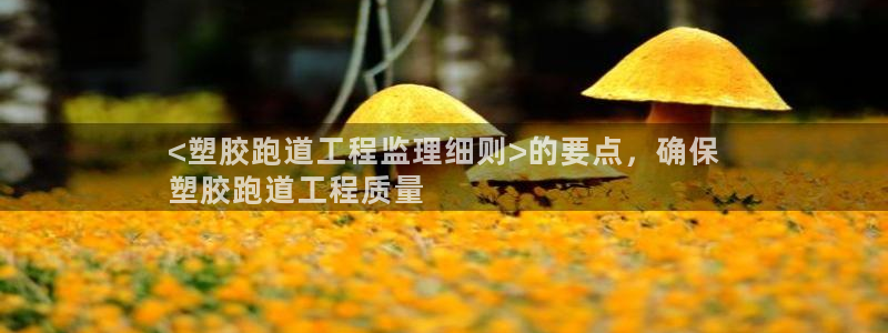 尊龙凯时取款不成功：<塑胶跑道工程监理细则>的要点，确保
塑胶跑道工程质量