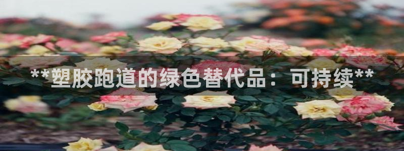 尊龙最新版：**塑胶跑道的绿色替代品：可持续**
