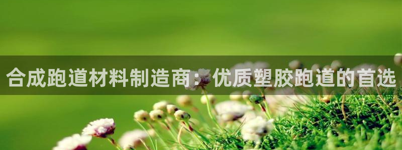 d88尊龙手机登录下载：合成跑道材料制造商：优质塑胶