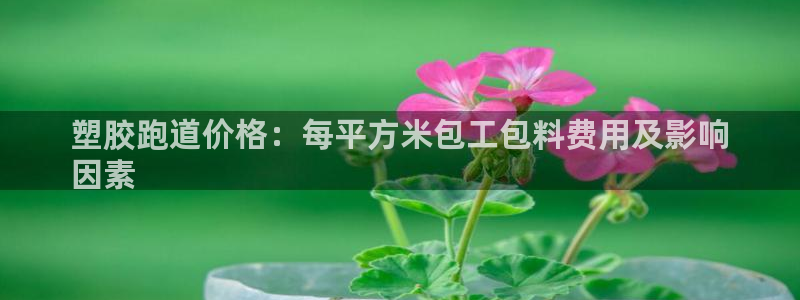 尊龙d88平台登录：塑胶跑道价格：每平方米包工包料费用及影响
因素