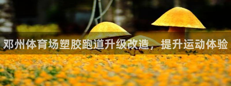 尊龙凯时注册入口：邓州体育场塑胶跑道升级改造，提升运