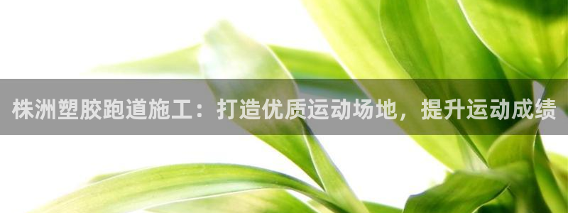 K66凯时国际平台官网：株洲塑胶跑道施工：打造优质运