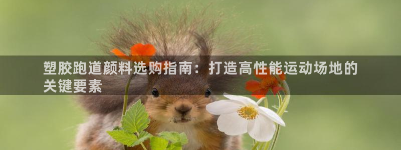 凯时平台官网RA来就送38：塑胶跑道颜料选购指南：打造高性能运动场地的
关键要素