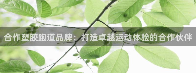 凯时国际app首页下载：合作塑胶跑道品牌：打造卓越运