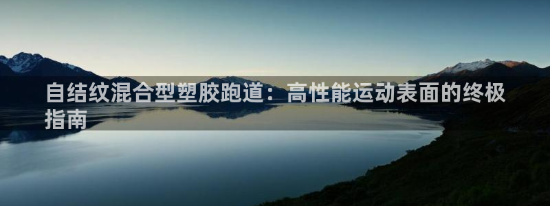 尊龙官方网站最新版V9.3.06：自结纹混合型塑胶跑道：高性能运动表面的终极
指南