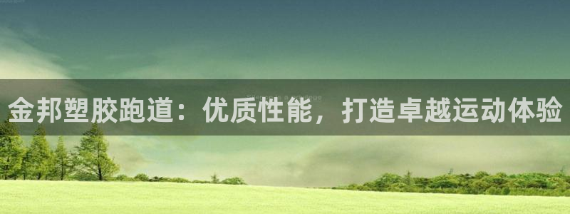 尊龙人生就是博登录：金邦塑胶跑道：优质性能，打造卓越