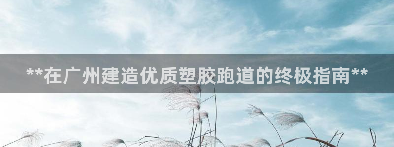 尊龙凯时登入首页：**在广州建造优质塑胶跑道的终极指南**