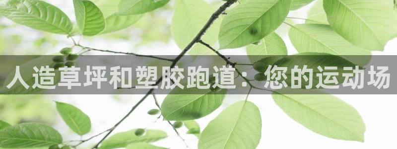尊龙凯时vip：人造草坪和塑胶跑道：您的运动场