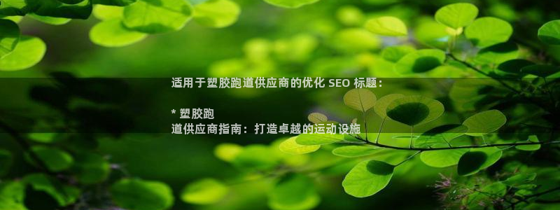 尊龙会：适用于塑胶跑道供应商的优化 SEO 标题：
