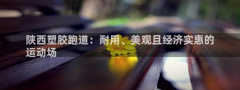 尊龙凯时能提现吗：陕西塑胶跑道：耐用、美观且经济实惠的
运动场
