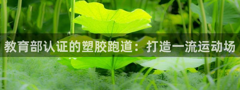 尊龙 am i blue：教育部认证的塑胶跑道：打造