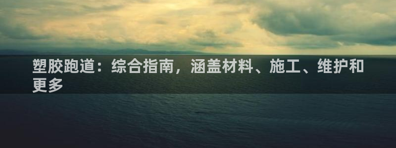 尊龙凯时最新平台登陆：塑胶跑道：综合指南，涵盖材料、施工、维护和
更多