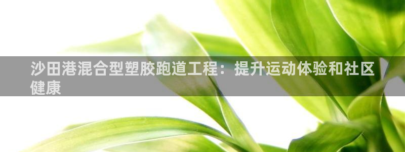 尊龙人生就是搏：沙田港混合型塑胶跑道工程：提升运动体