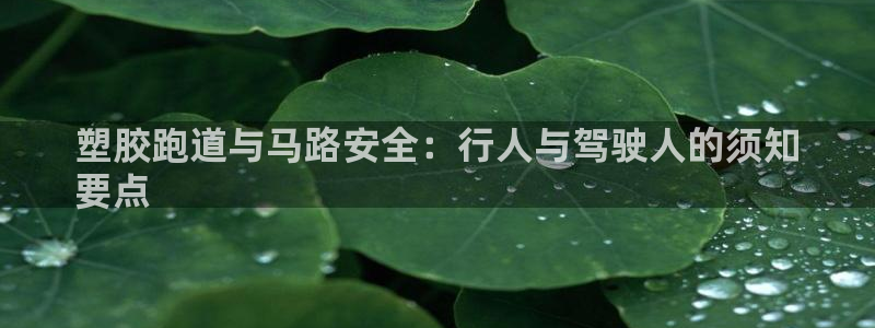ag尊龙凯时官网：塑胶跑道与马路安全：行人与驾驶人的