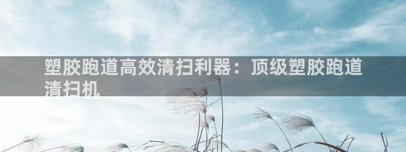 尊龙平台登录：塑胶跑道高效清扫利器：顶级塑胶跑道
清扫机