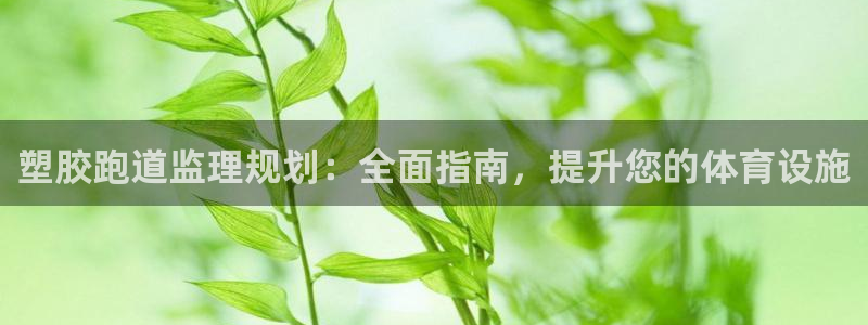 z6com尊龙：塑胶跑道监理规划：全面指南，提升您的