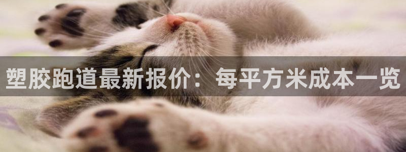尊龙新版人生就是博!：塑胶跑道最新报价：每平方米成本一览