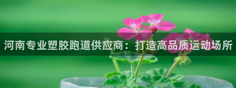 z6尊龙官方网站：河南专业塑胶跑道供应商：打造高品质运动场所