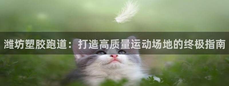 尊龙人生就是博旧：潍坊塑胶跑道：打造高质量运动场地的终极指南