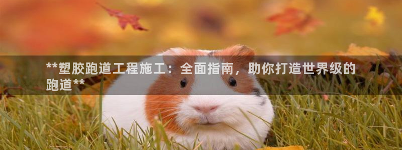 尊龙体育直接访问agbaofu.wang|ag暴富网：**塑胶跑道工程施工：全面指南，助你打造世界级的
跑道**