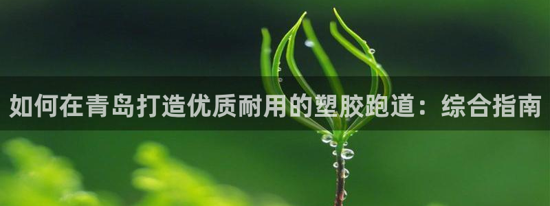 尊龙现在：如何在青岛打造优质耐用的塑胶跑道：综合指南