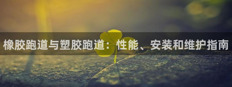 z6com尊龙：橡胶跑道与塑胶跑道：性能、安装和维护指南