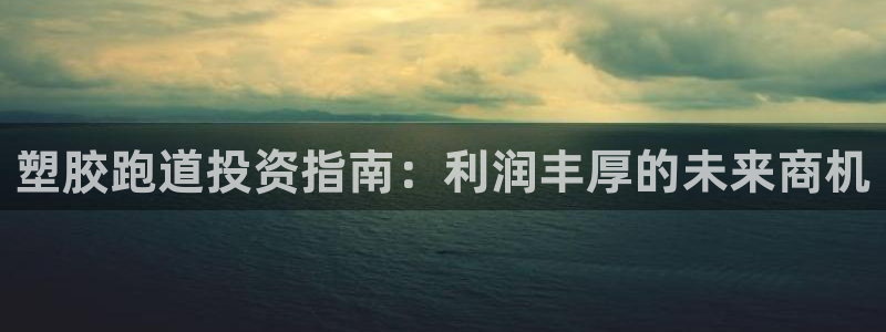 尊龙在线登录官网：塑胶跑道投资指南：利润丰厚的未来商