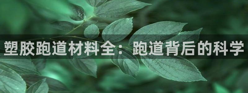 尊龙官网在哪里：塑胶跑道材料全：跑道背后的科学