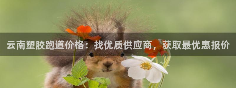 尊龙人生就是博D88：云南塑胶跑道价格：找优质供应商