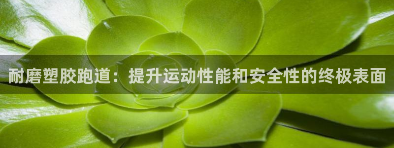 尊龙app|首选agdaohang：耐磨塑胶跑道：提