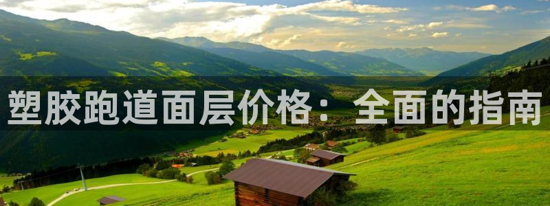 尊龙凯时网娱乐官网：塑胶跑道面层价格：全面的指南