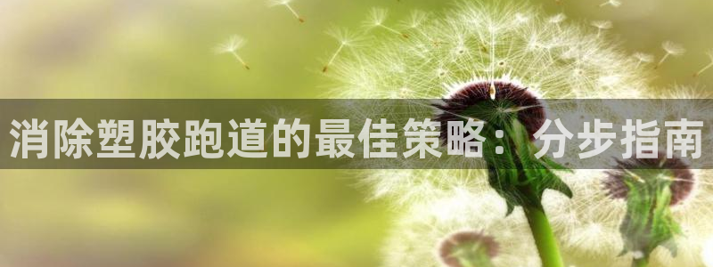 凯时网上官方网站：消除塑胶跑道的最佳策略：分步指南
