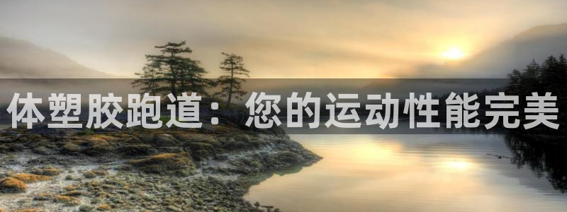 尊龙165：体塑胶跑道：您的运动性能完美
