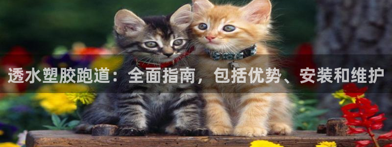 尊龙凯时人生就博官网登录：透水塑胶跑道：全面指南，包括优势、安装和维护