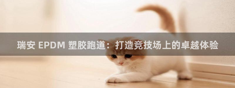 尊龙Ag：瑞安 EPDM 塑胶跑道：打造竞技场上的卓