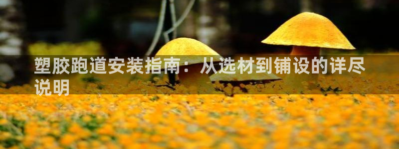 尊龙游戏中心：塑胶跑道安装指南：从选材到铺设的详尽
说明