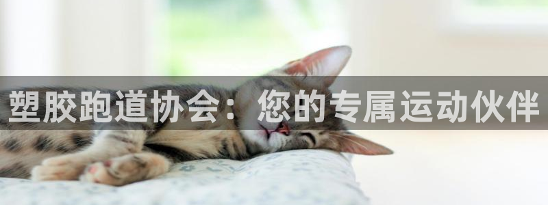 尊龙人生就是博旧版网址