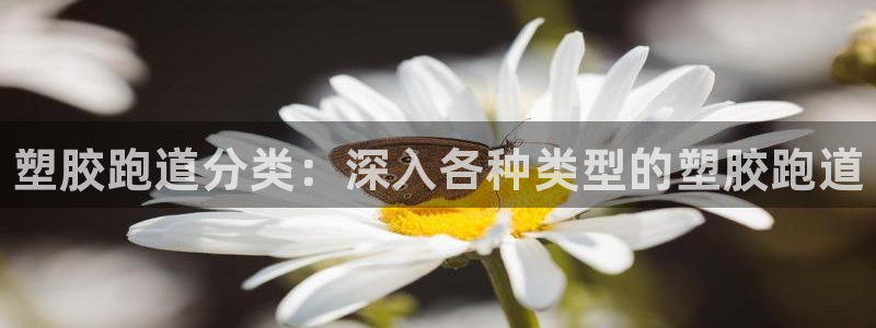凯时国际app首页下载：塑胶跑道分类：深入各种类型的塑胶跑道