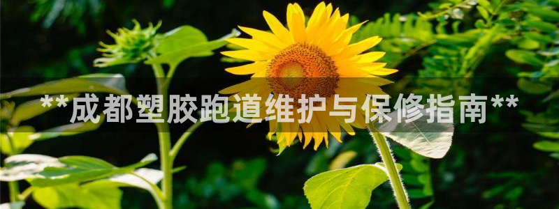 尊龙z6集团：**成都塑胶跑道维护与保修指南**